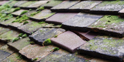 Moggerhanger roof repair costs